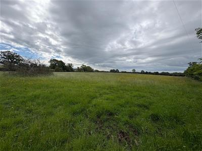 Picture 20